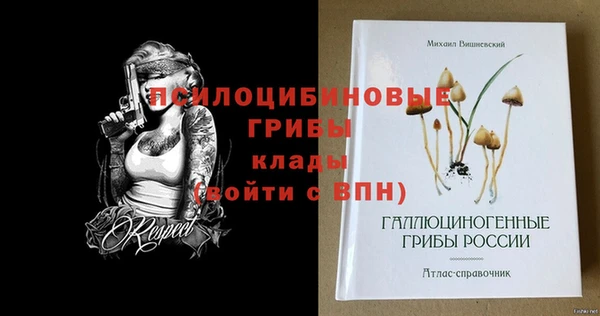 COCAINE Гусев