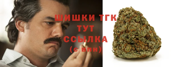 mix Гусиноозёрск