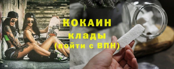 хмурый Горняк