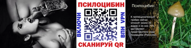 Псилоцибиновые грибы прущие грибы  Купить  Ивангород 